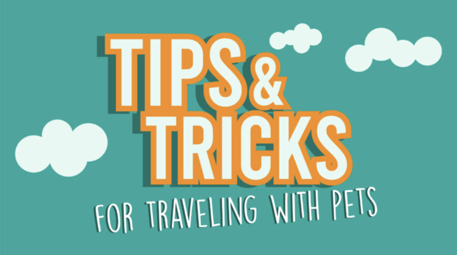 Pets RV News, travel tips & features RV Trader Blog