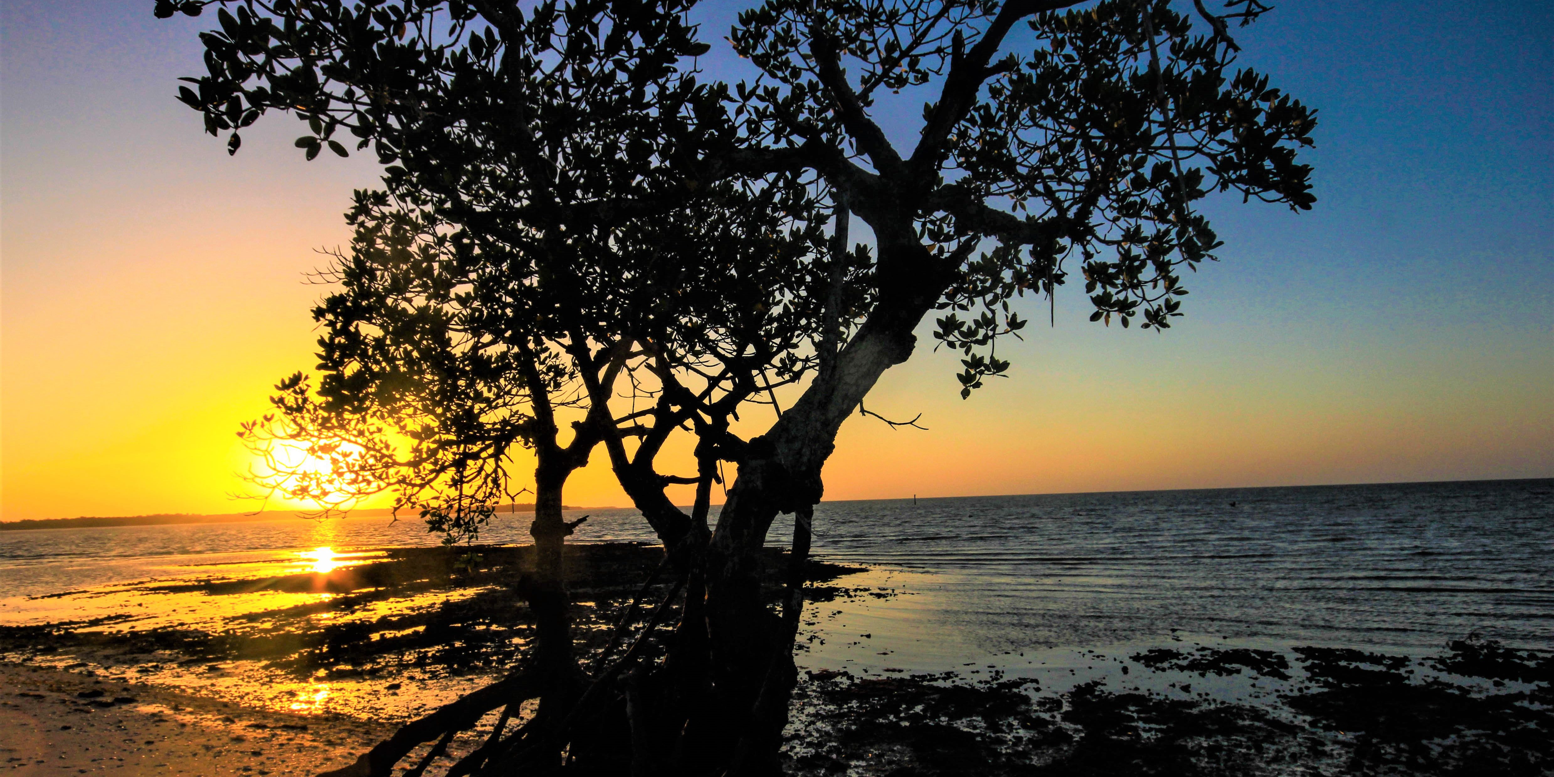 Sunrise over mangroves in Biscayne National Park showing the marine camping environment