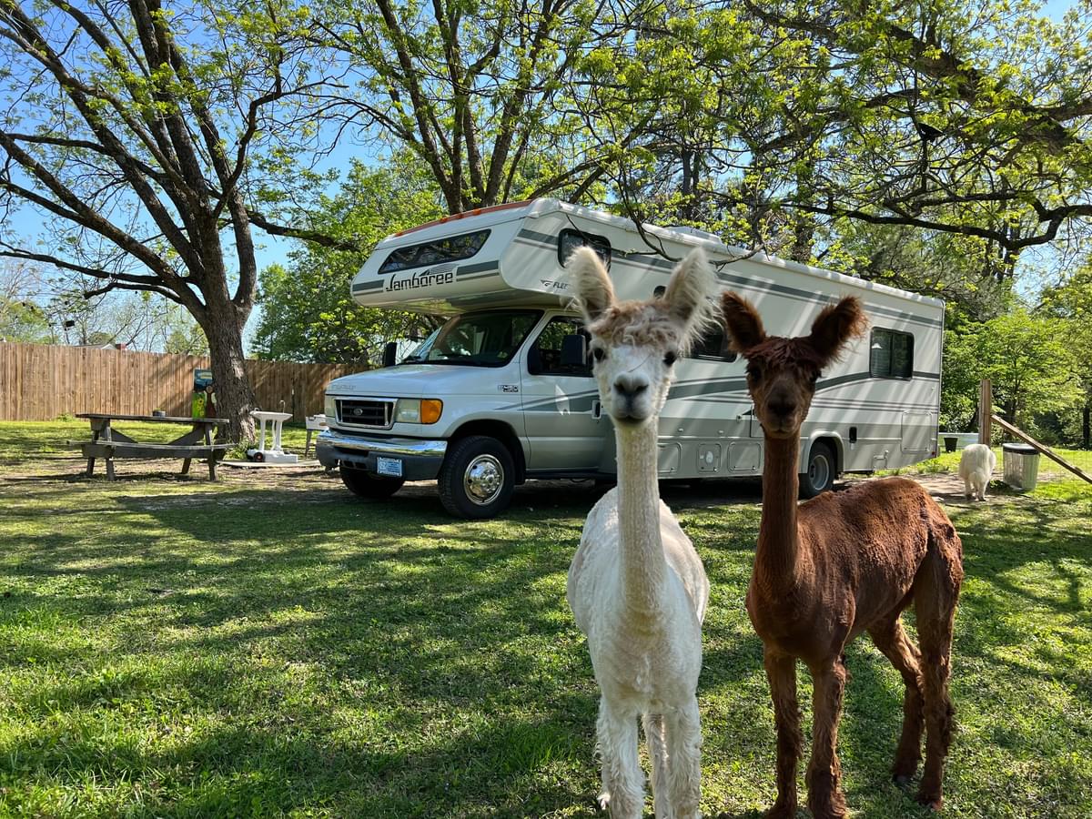 Unique, safe, and convenient stays